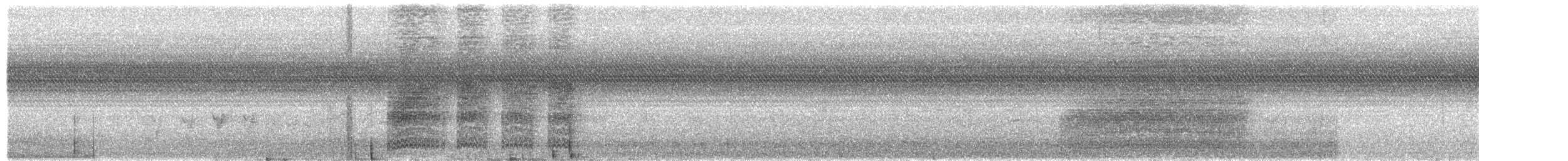 Черношапочная чагра - ML592528011