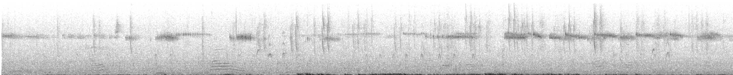 Широкохвостый колибри - ML592529491