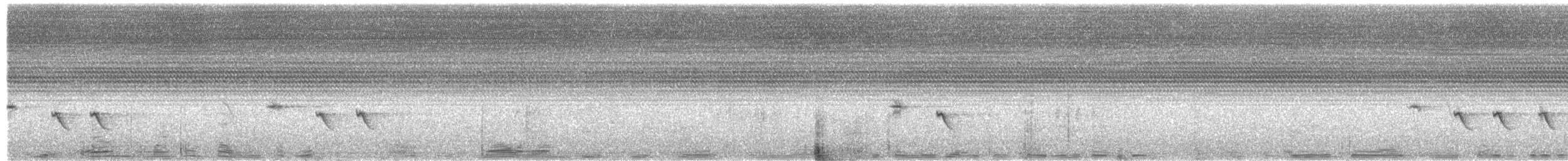 Habeş Nektarkuşu (hellmayri/kinneari) - ML592529521