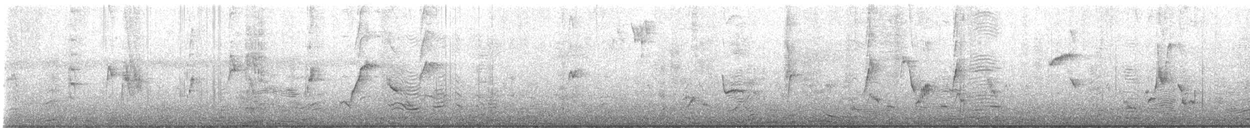 Gray Catbird - ML592538721