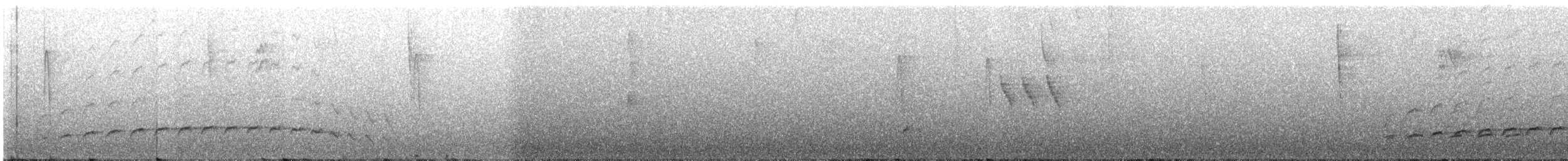 Батарито плямистоволий - ML592554911