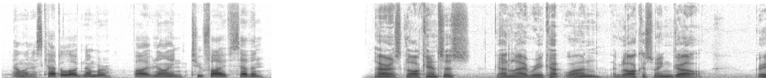 Glaucous-winged Gull - ML59257