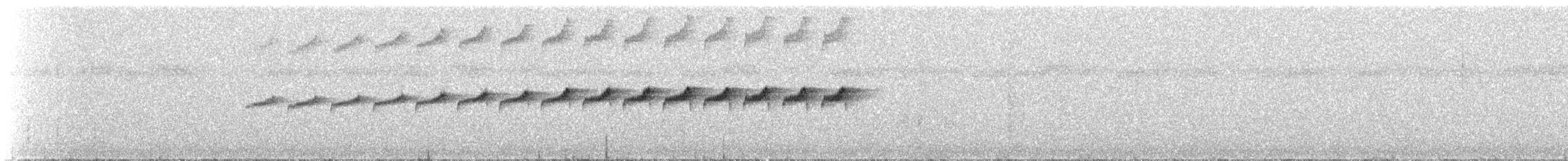 Tüpfelwangen-Ameisenvogel - ML592579391