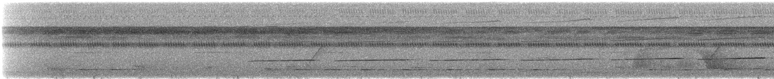 Grisin sanglé - ML592580361