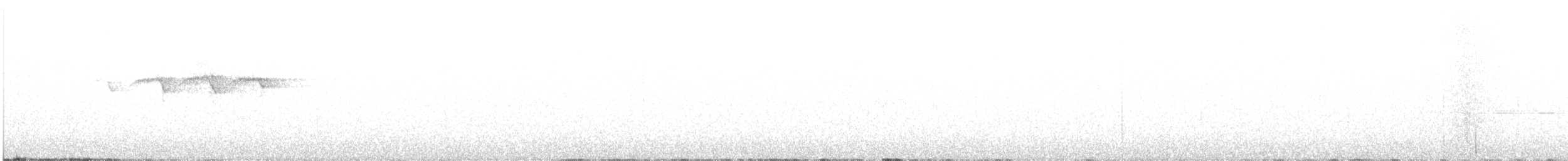 Townsend's Warbler - ML592581131