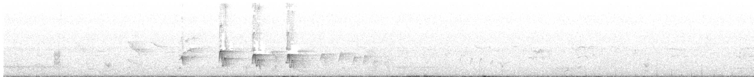 キホオコバシミツスイ - ML592601571