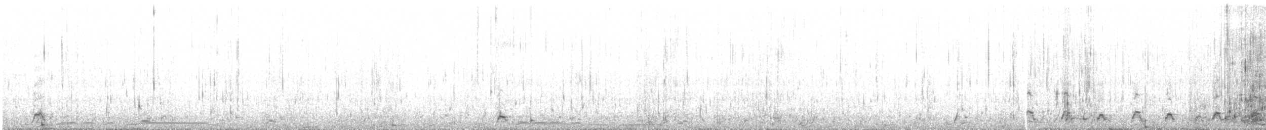 Cisne Cuellinegro - ML592614171