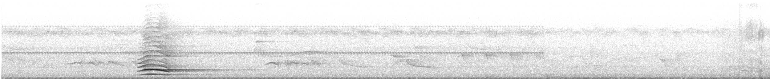 Индийский павлин (Одомашенного вида) - ML592616751