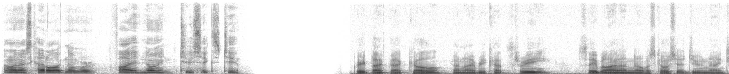 Great Black-backed Gull - ML59262