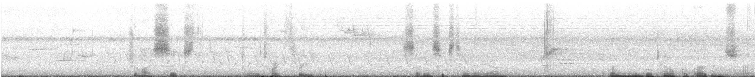 Grive des bois - ML592627491