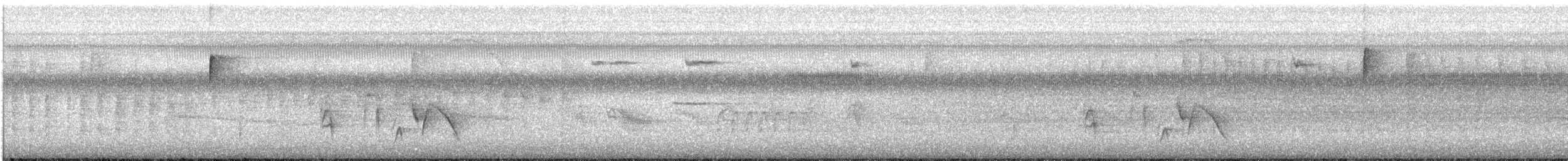 Viréo aux yeux blancs - ML592629541