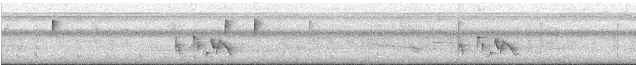 Viréo aux yeux blancs - ML592629551