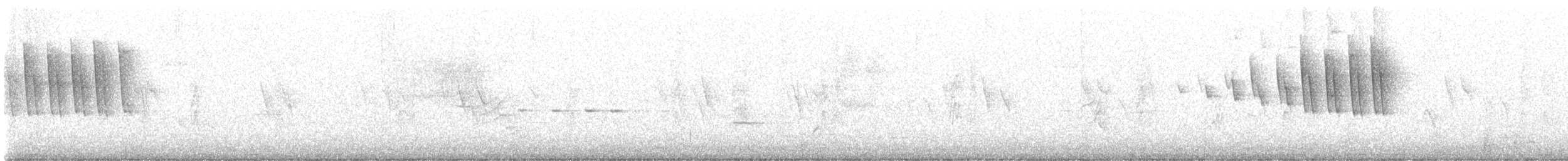 Paruline à calotte noire - ML592634541