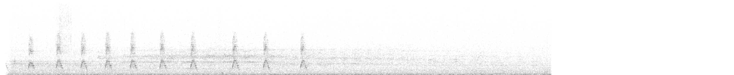 Cygne à cou noir - ML592656511