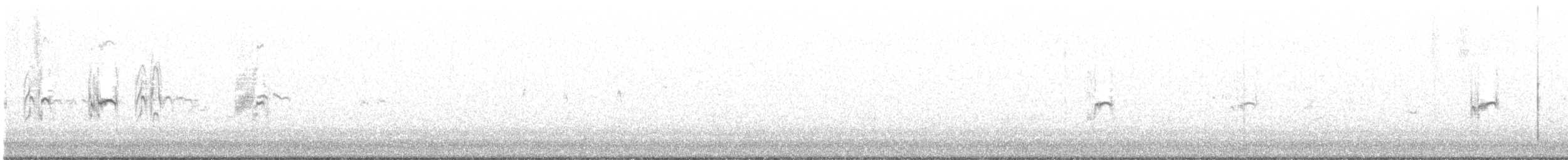 Antillenseeschwalbe - ML592680721