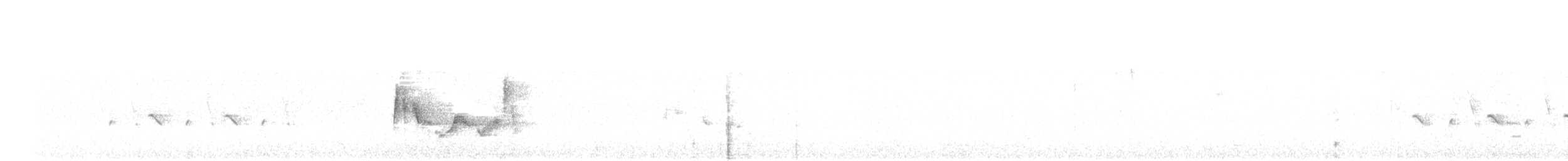 White-eyed Vireo - ML592691561