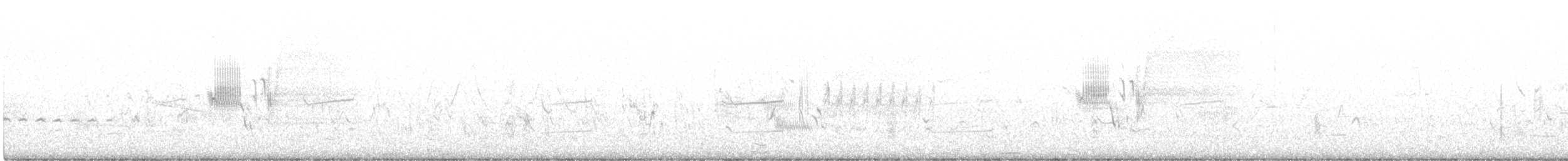 Приморская овсянка-барсучок - ML592694311