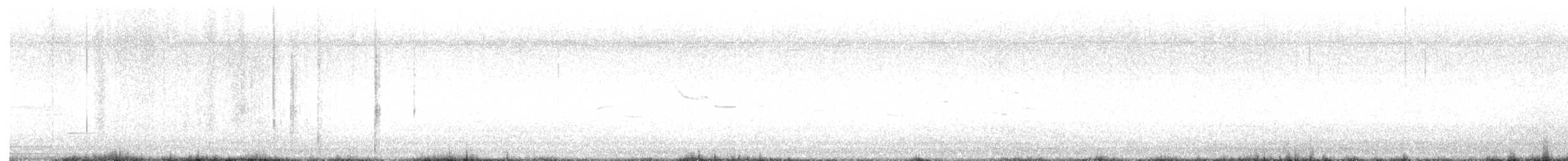 Antillenseeschwalbe - ML592701391