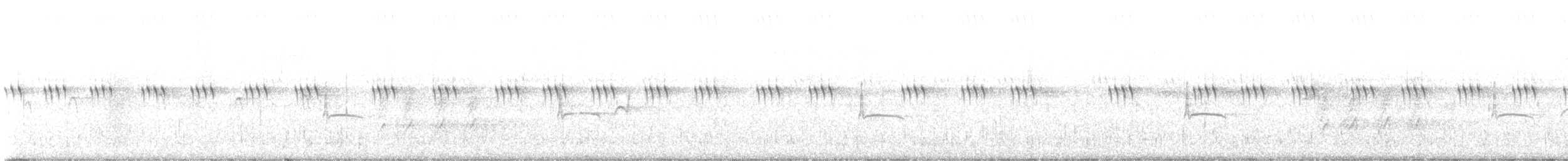 Buschland-Schnäppertyrann - ML592712271