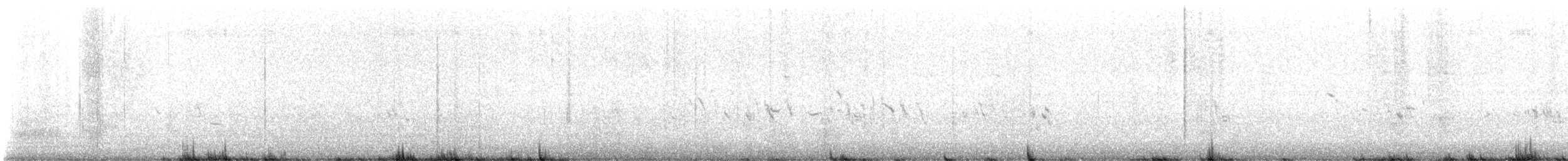 Plectrophane à ventre gris - ML592730041