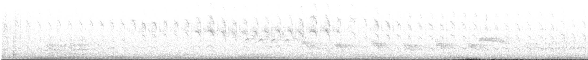 Chupasavia Oscuro - ML592732371