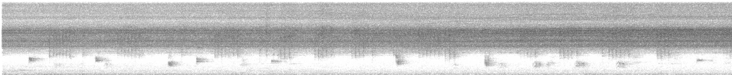 Şerit Karınlı Çıtkuşu - ML592735081
