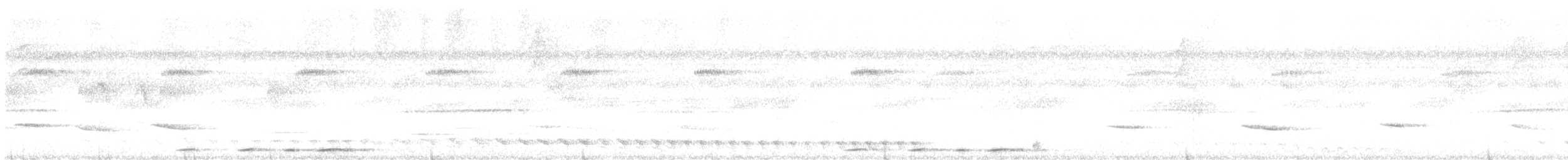 Baird Trogonu - ML592743711