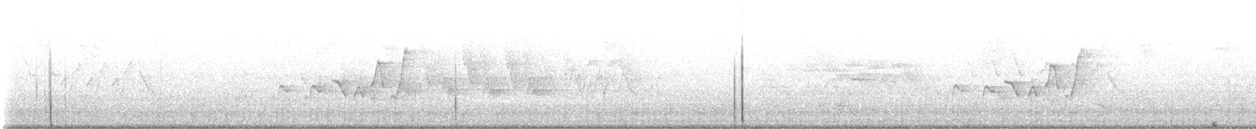 Paruline à capuchon - ML592793201