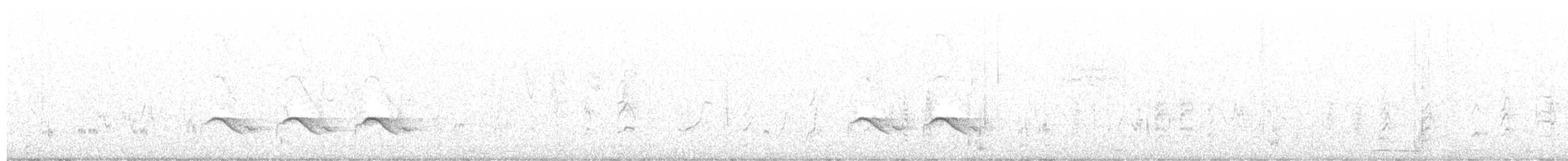 Weißbrauen-Raupenfänger - ML592797821
