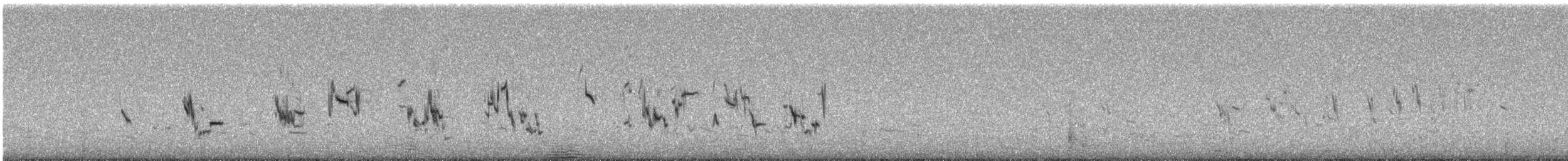 Plectrophane à ventre gris - ML592805151