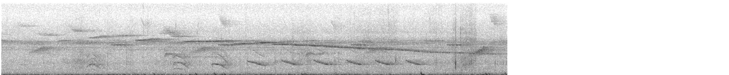 Weißbart-Ameisenwürger - ML592832251