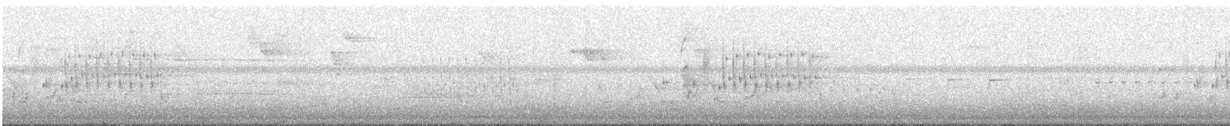 Marsh Wren - ML592841251