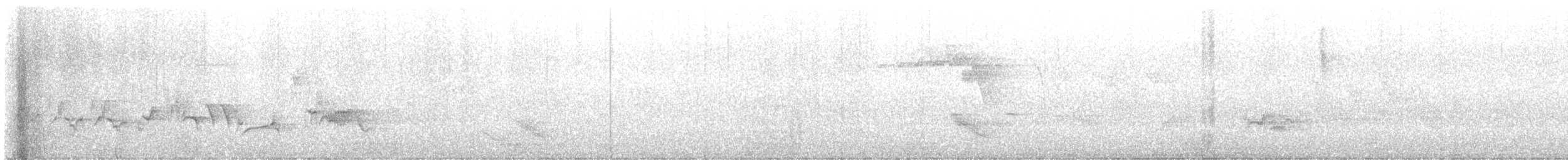 Amerika Çütresi (purpureus) - ML592854511