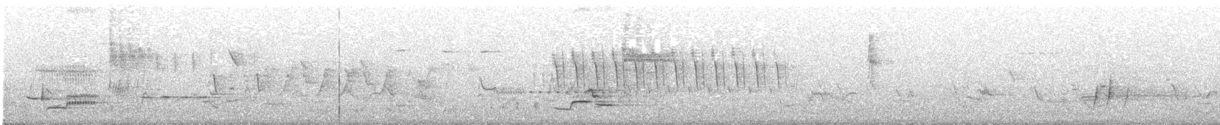 Wood Thrush - ML592856861