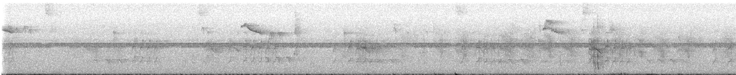 Spix's Spinetail - ML592877801
