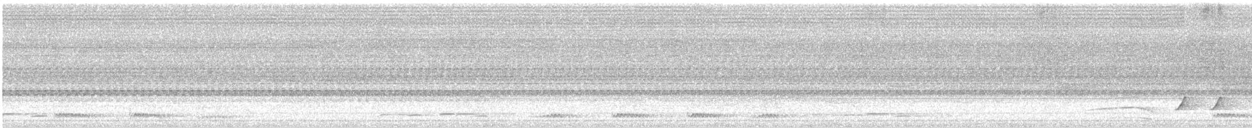 Сичик-горобець індійський - ML592883711