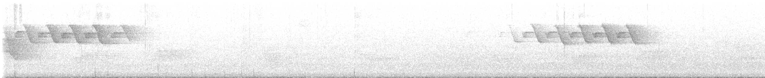 Paruline noir et blanc - ML592889711