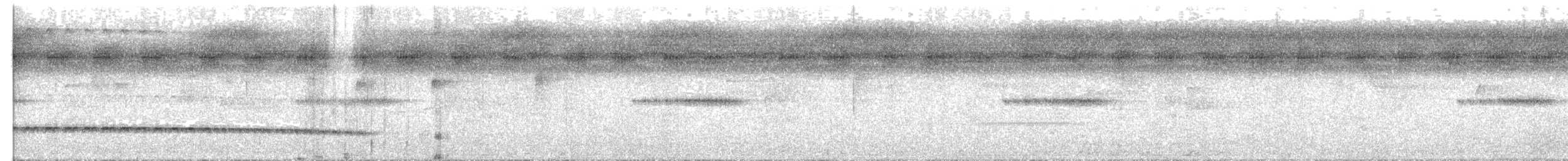 Tüpfelkronen-Ameisenvogel - ML592898221