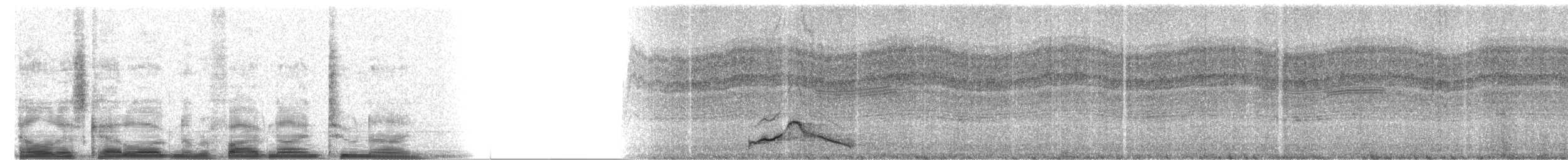 Chotacabras Pauraque - ML5929