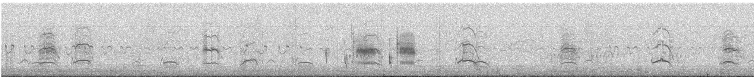 amerikasothøne - ML592911361