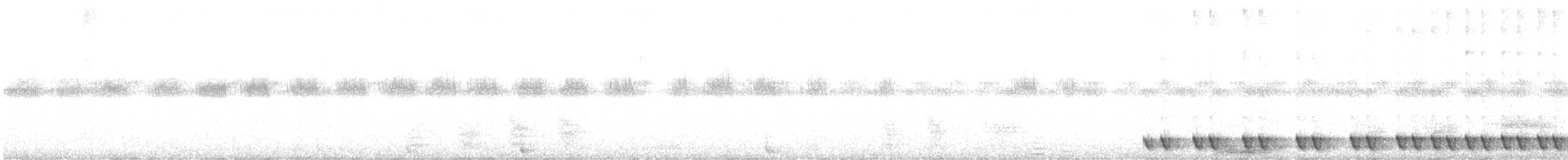 Red-necked Nightjar - ML592913801