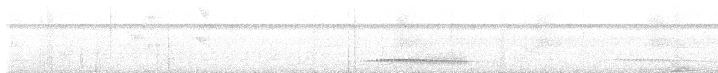 Fleckenmantel-Ameisenfänger - ML592918411
