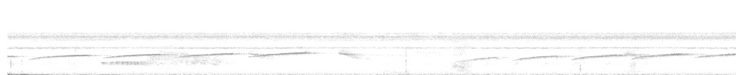 Мурав’янка-куцохвіст велика - ML592926661