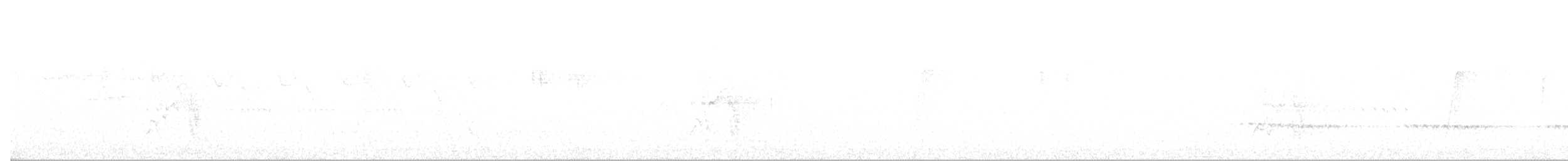 Weißbauch-Raupenfänger - ML59294851