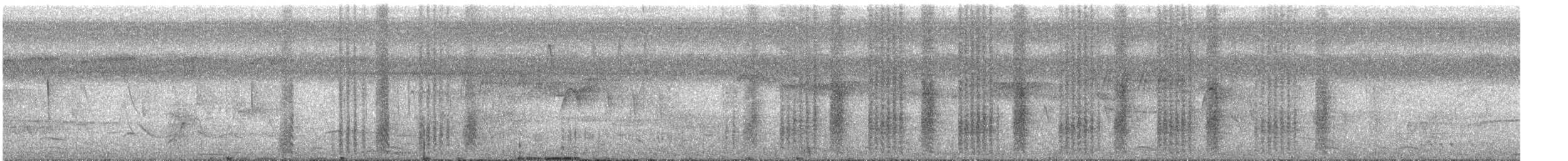 Black-crowned Tityra - ML592960581