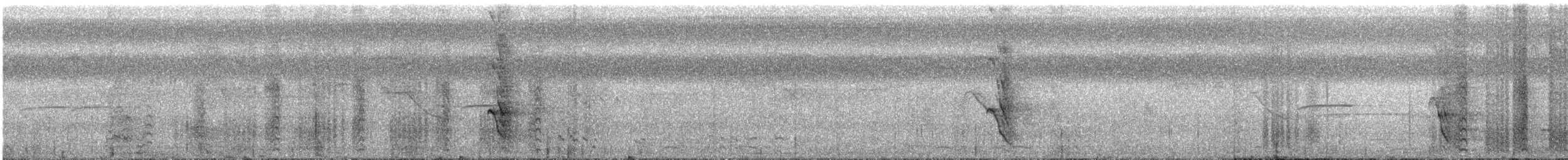 Black-crowned Tityra - ML592960661