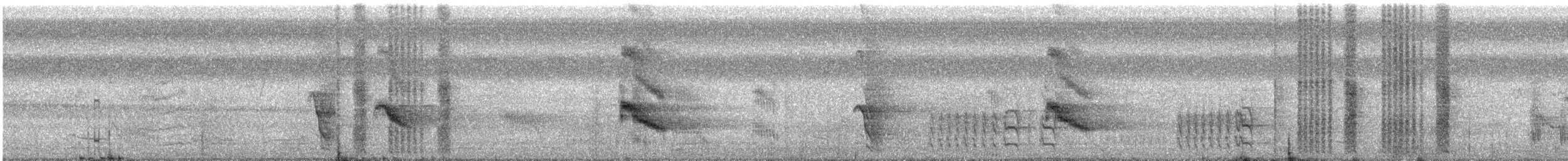 Black-crowned Tityra - ML592960711
