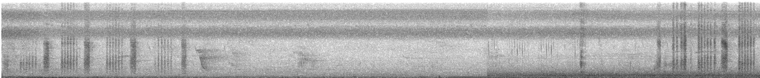 Black-crowned Tityra - ML592960801