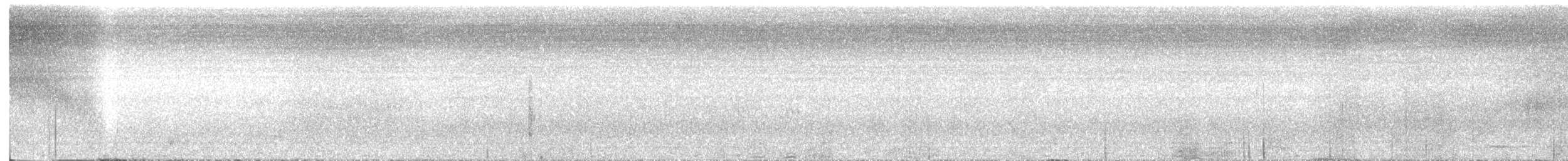 Trogon élégant - ML592966161