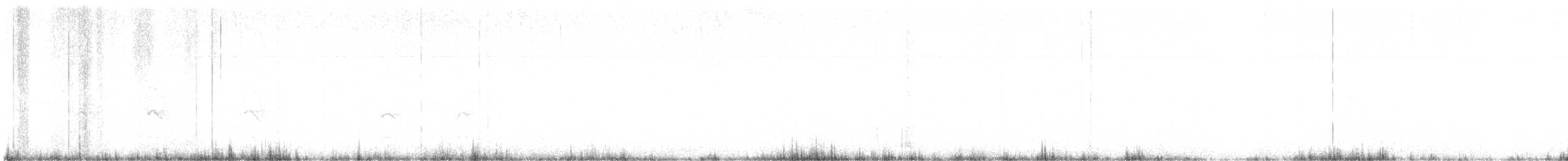 mesquitespett (aurifrons) - ML592987931